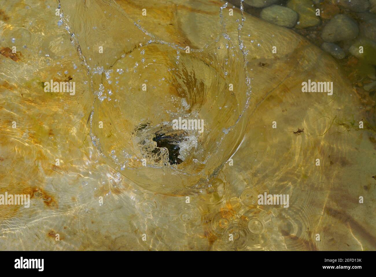 Rock underwater hi-res stock photography and images - Alamy