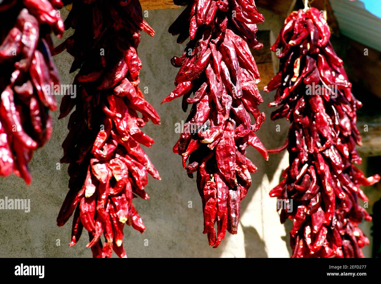Closeup of hanging dried red peppers Stock Photo - Alamy