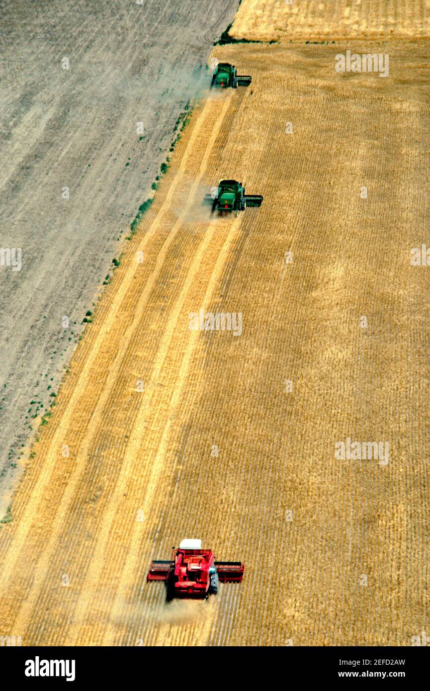 Aerial view of whet harvest in Burlington with  combines Stock Photo