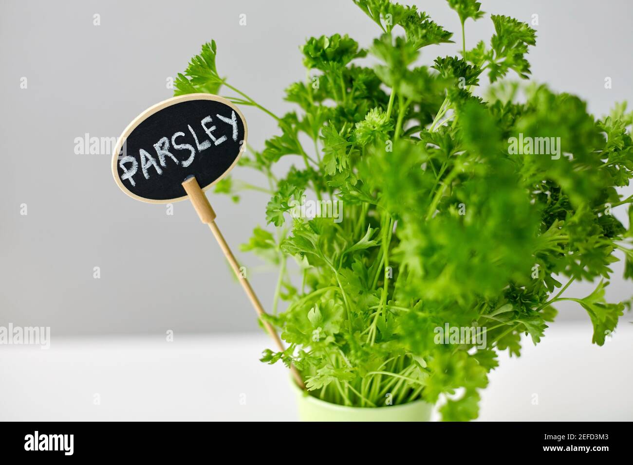 green parsley herb with name plate in pot on table Stock Photo Alamy
