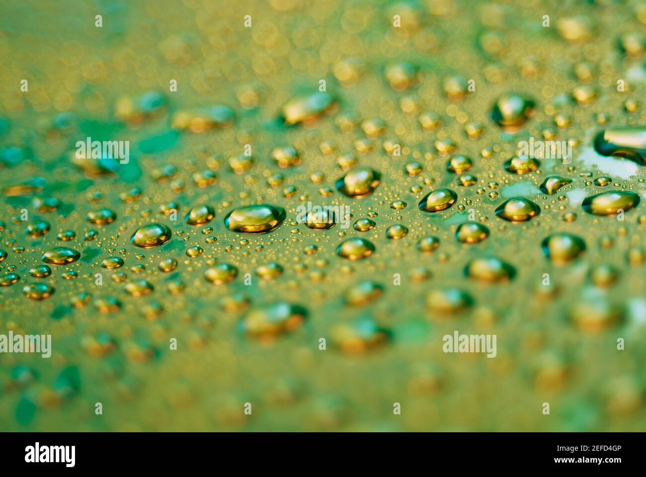 Close up of water droplets on a surface Stock Photo - Alamy