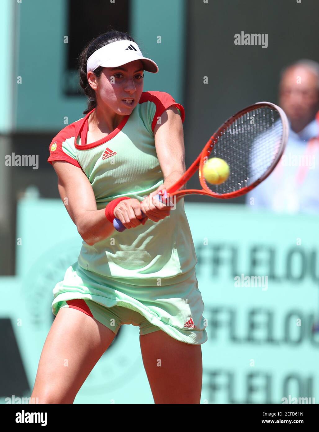 Tennis - French Open - Roland Garros, Paris, France - 2/6/12 Women's  Singles - USA's Christina Mchale during her third round match Mandatory  Credit: Action Images / Paul Childs Stock Photo - Alamy