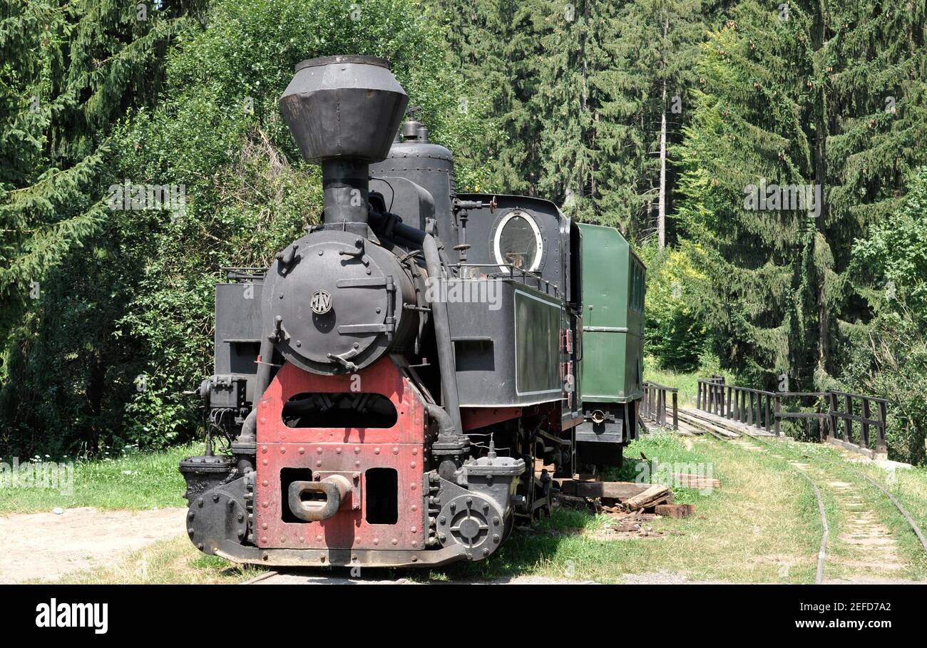 Front view of an old locomotive train on forest background Stock Photo