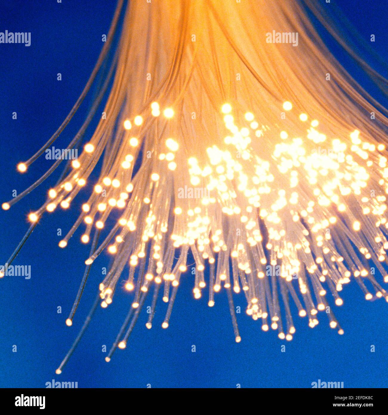 Closeup of fiber optic cables Stock Photo Alamy