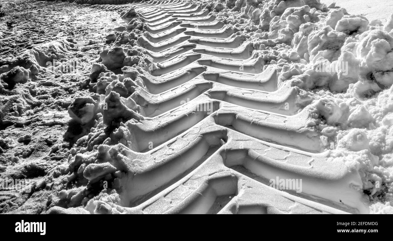 Wide deepened tracks from tractor tires in fresh soft white snow with high contrast Stock Photo