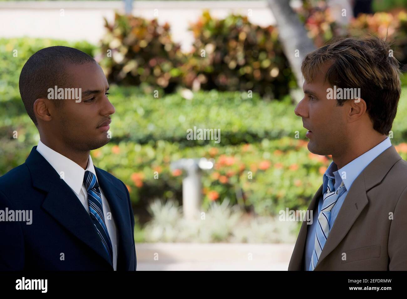 Side profile of two businessmen talking to each other Stock Photo - Alamy
