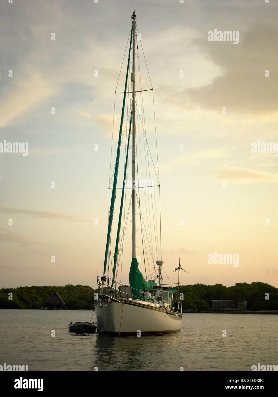 Sailboat sea tree silhouette hi-res stock photography and images - Alamy