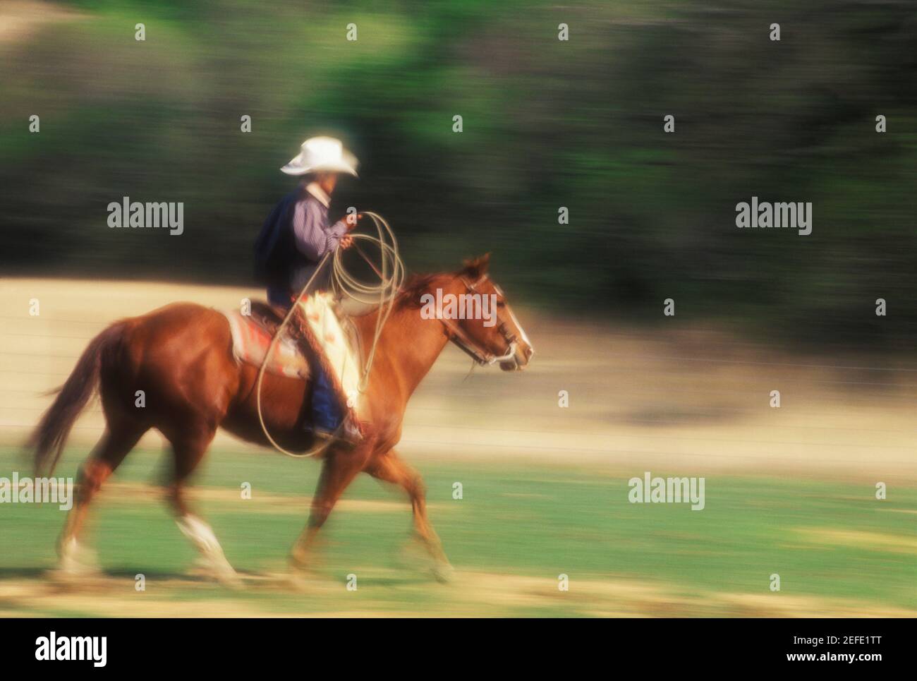 Side profile of a cowboy riding a horse, Texas, USA Stock Photo - Alamy