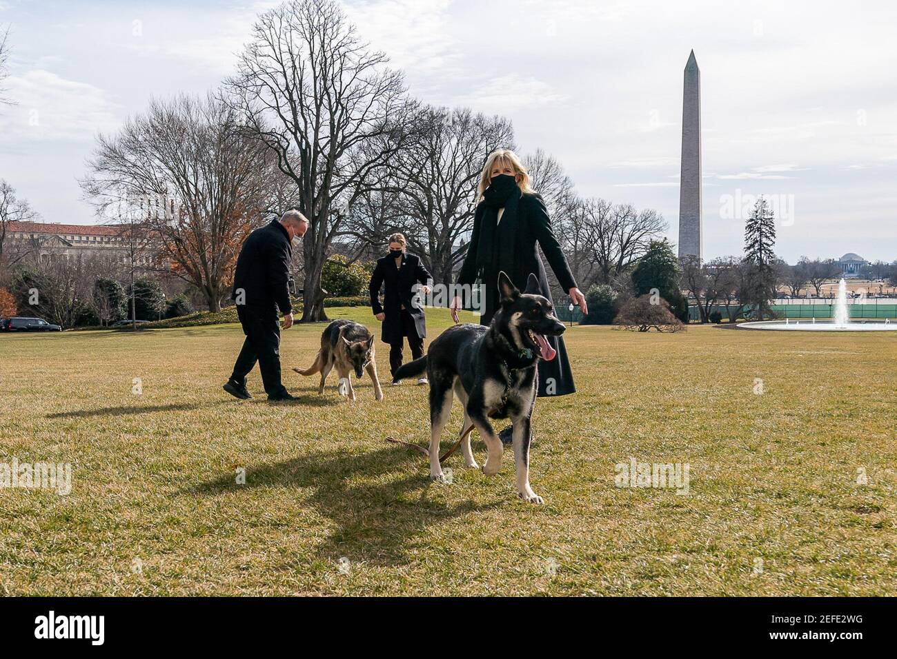 First Lady Dr. Jill Biden, joined by White House Grounds Superintendent Dale Haney and her granddaughter Maisy Biden, play with the Bidens' dogs Major and Champ on the South Lawn of the White House on Sunday, Jan. 24, 2021. Major and Champ are the first pets at the White House since the Obama Administration. Stock Photo