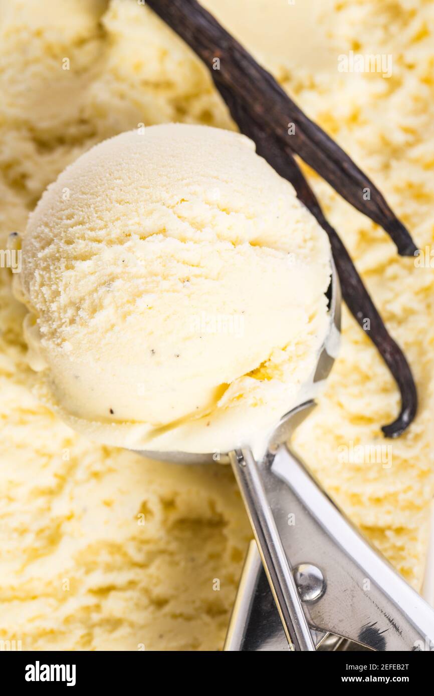 ice cream: Ice scoop in vanilla ice cream with vanilla bean Stock Photo