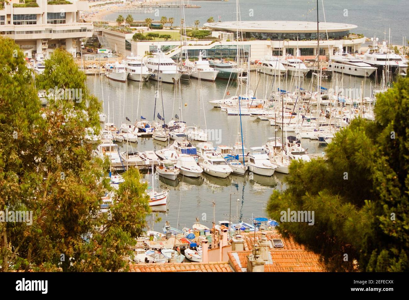 Boats at a harbor, Vieux Port, Cote dŽAzur, Cannes, Provence_Alpes_Cote DŽAzur, France Stock Photo