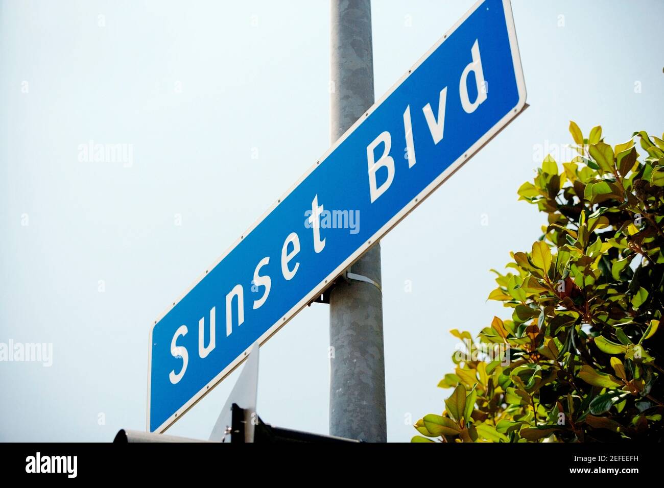 Low angle view of a Sunset Boulevard Sign, Los Angeles, California, USA Stock Photo