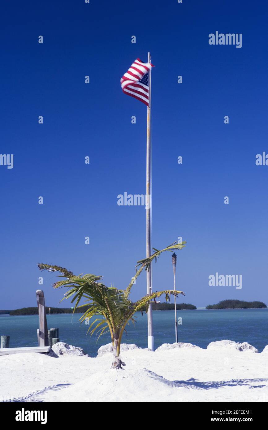 American flag on the beach Stock Photo Alamy