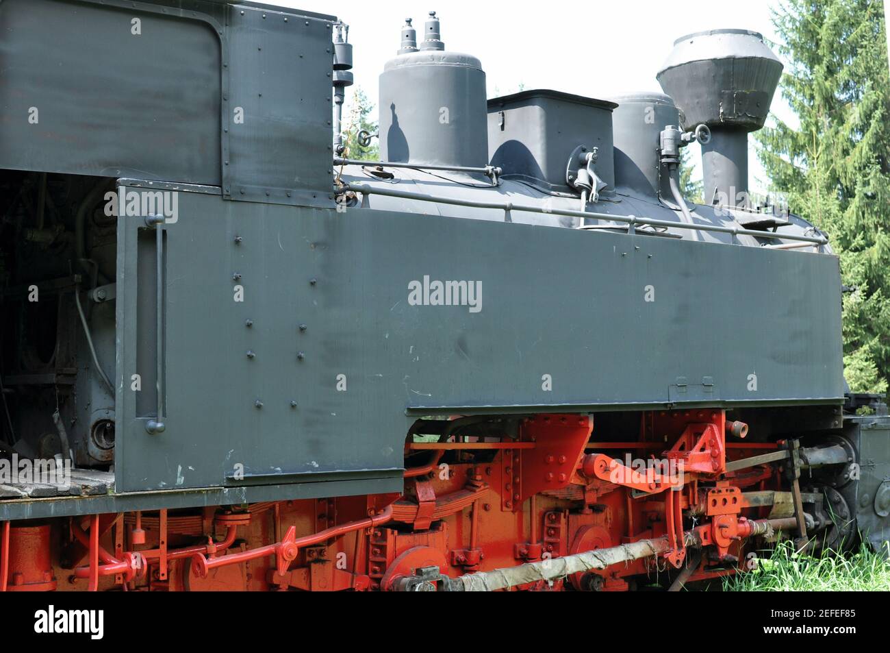 Front side view of a locomotive train on forest background Stock Photo