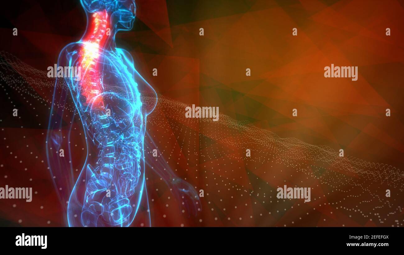 3d rendering medical illustration cervical hi-res stock photography and ...