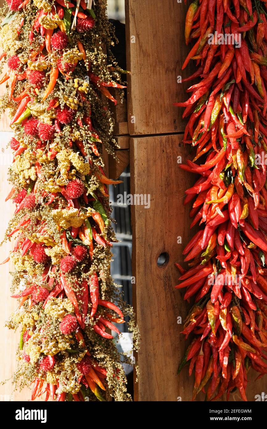 Collection chili red chili hi-res stock photography and images - Alamy