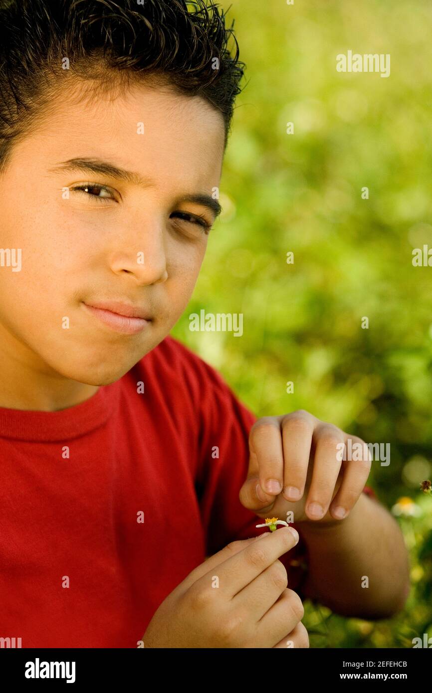 Portrait of a boy holding a wildflower Stock Photo