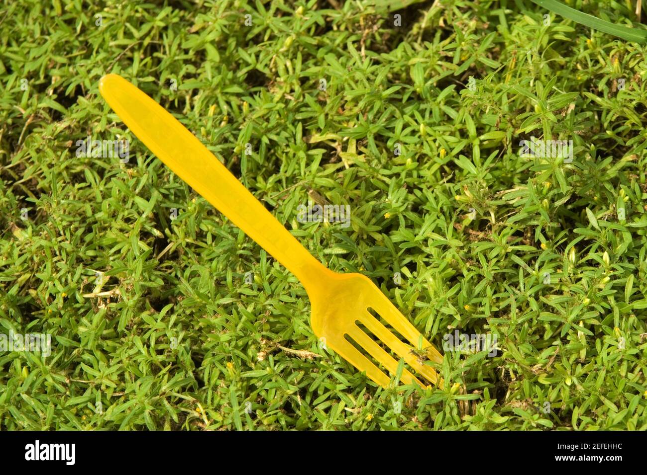 High angle view of a disposable fork on the grass Stock Photo