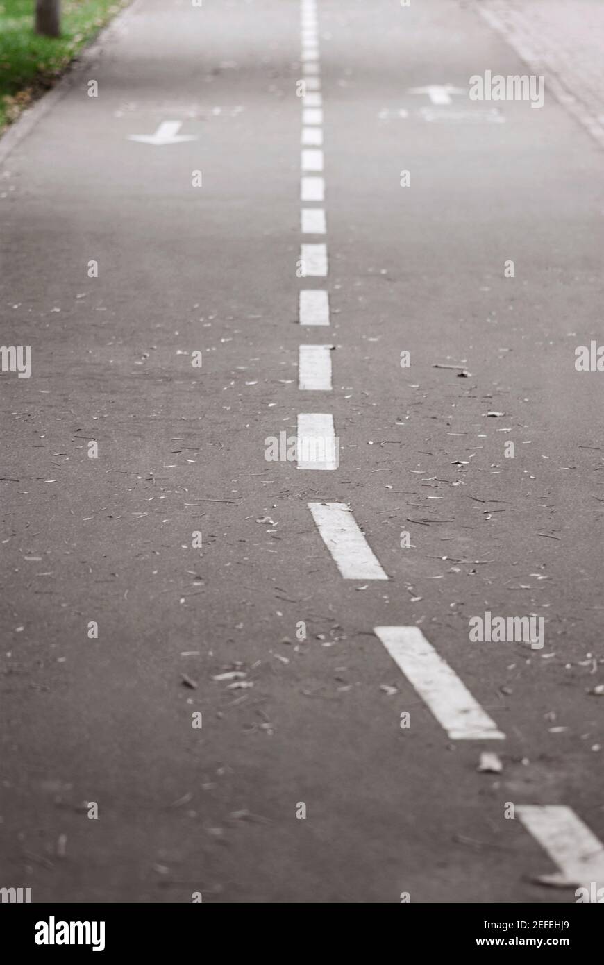Dividing line on a road Stock Photo - Alamy