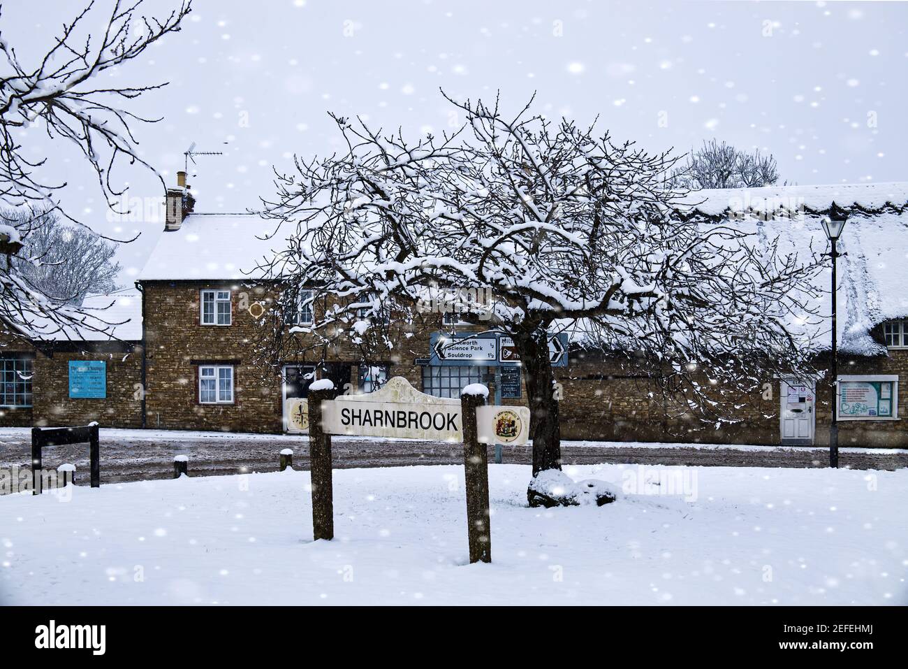 Sharnbrook village green during snow storm, Bedfordshire, England, UK Stock Photo