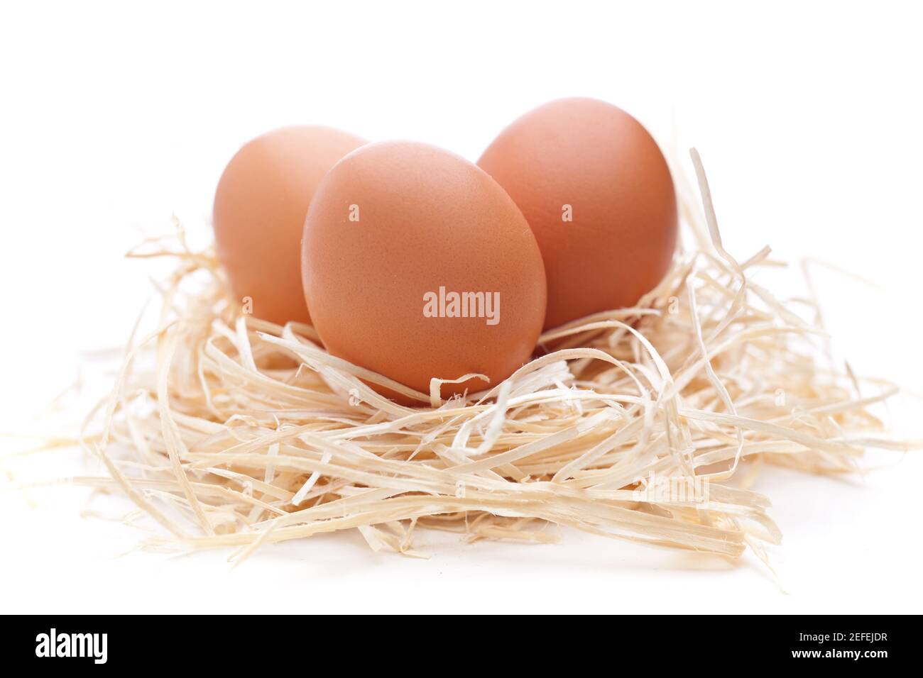 Eggs in a nest isolated on white background Stock Photo