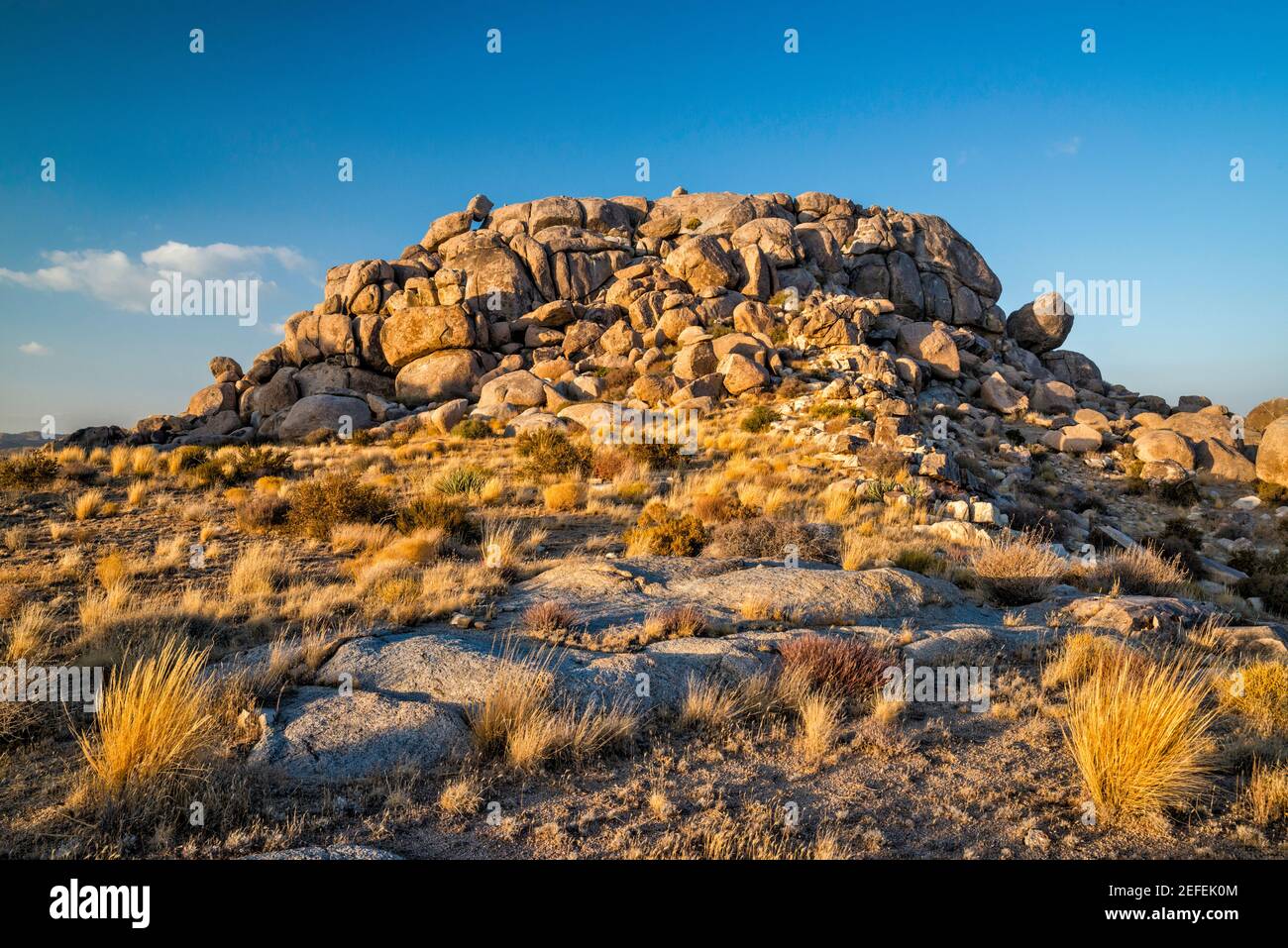 Granite rock formations, Wild Horse Canyon Road, near Mid Hills Campground, Mojave National Preserve, California, USA Stock Photo