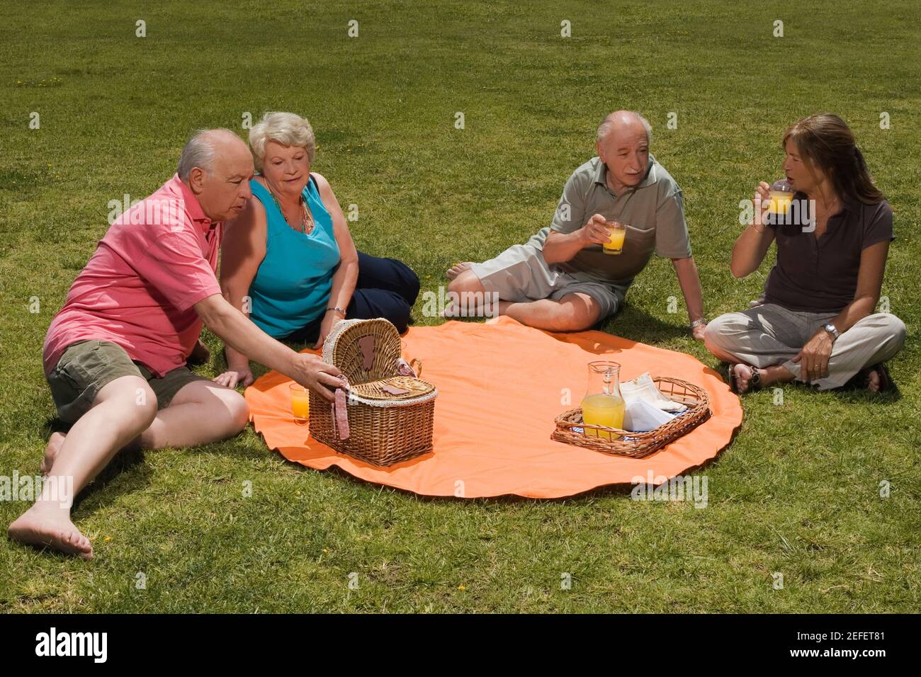 High angle view of two senior couples at a picnic Stock Photo