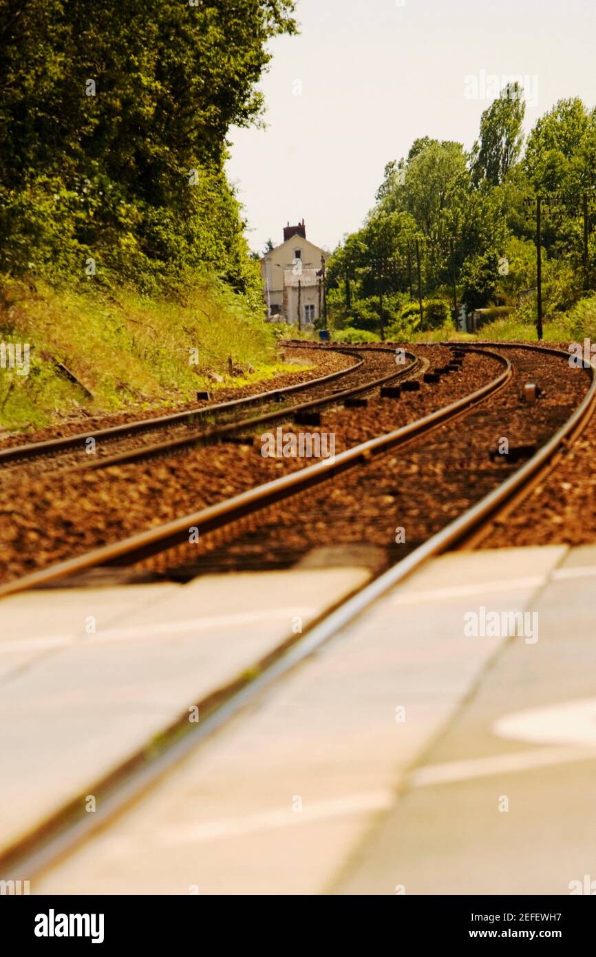 Trees along railroad tracks, Loire Valley, France Stock Photo