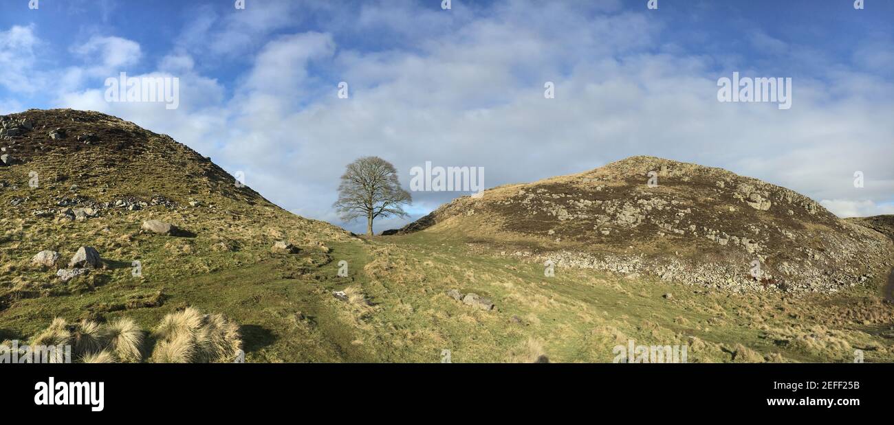 Hadrians roman wall northumberland Stock Photo Alamy