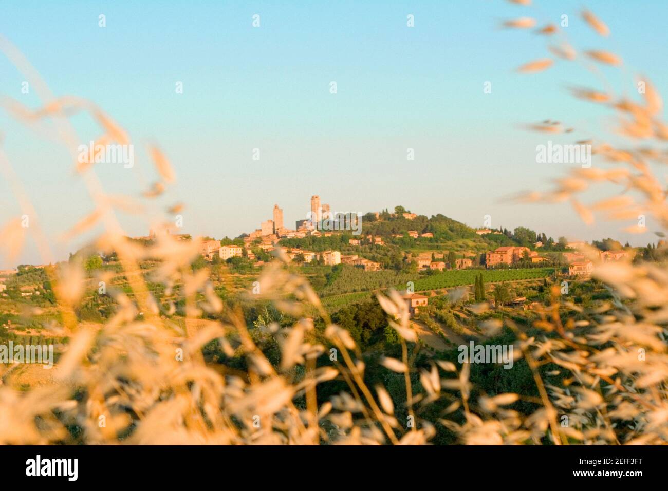 Town on a hill, San Gimignano, Siena Province, Tuscany, Italy Stock Photo