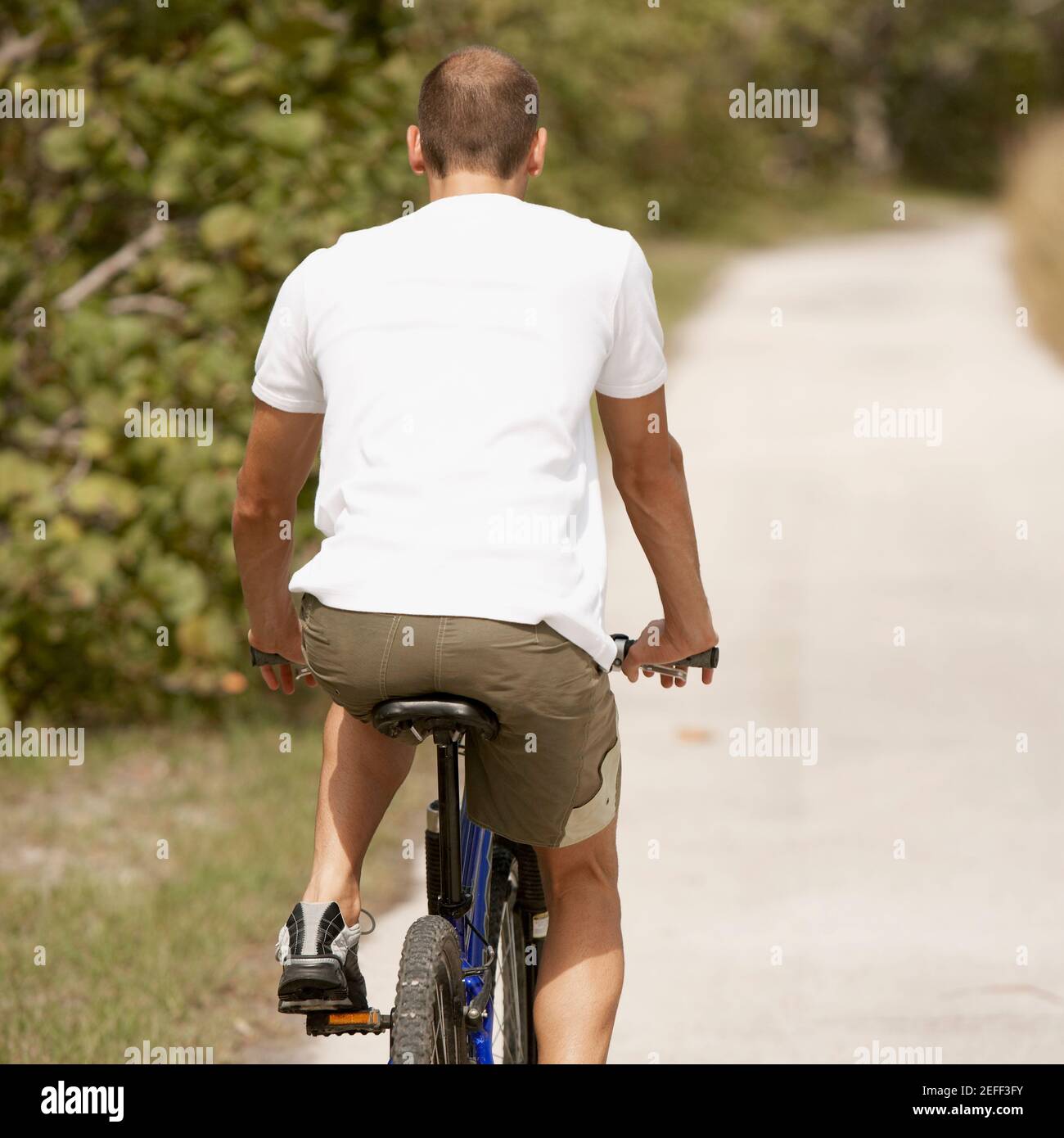Bicycle Rider Rear View Rear view of a young man riding a bicycle Stock Photo - Alamy