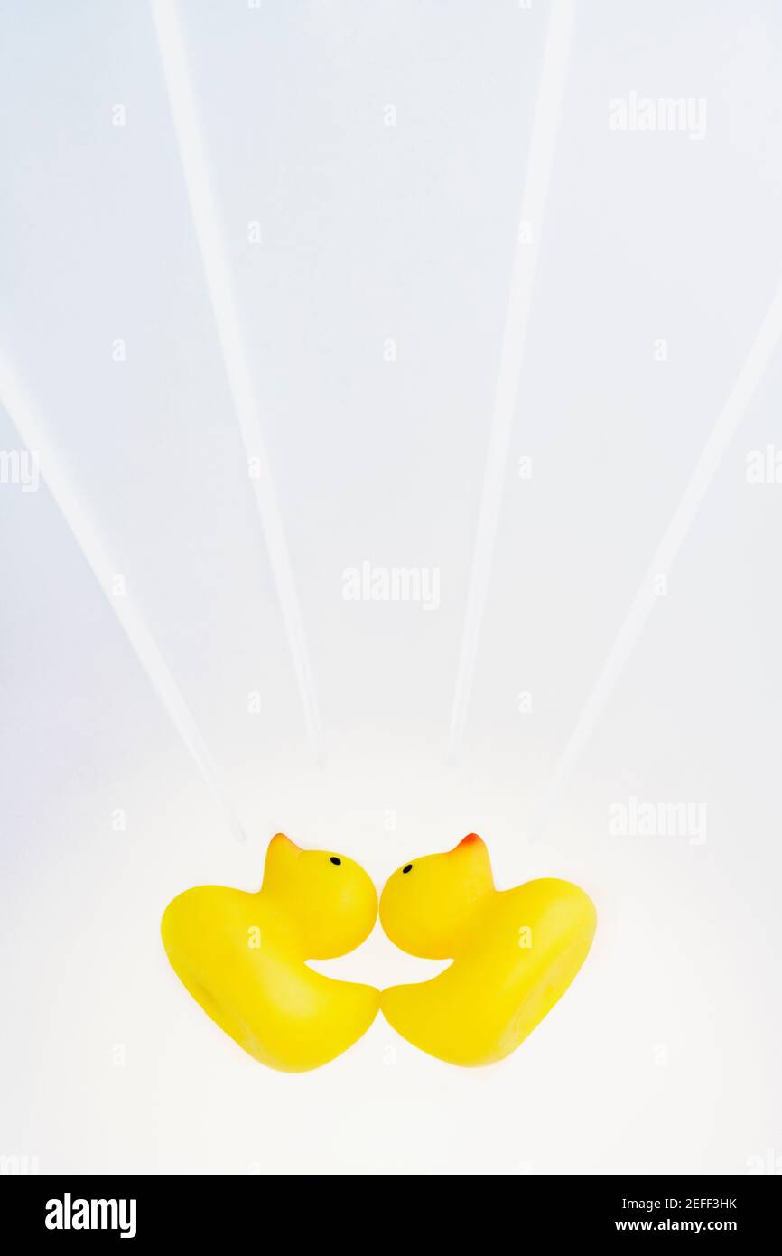Two rubber ducks on a white background Stock Photo - Alamy