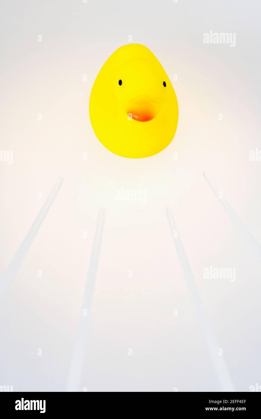 Rubber duck on a white background Stock Photo - Alamy