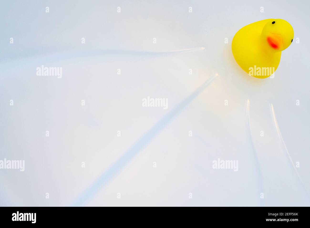 Rubber duck on a white background Stock Photo - Alamy