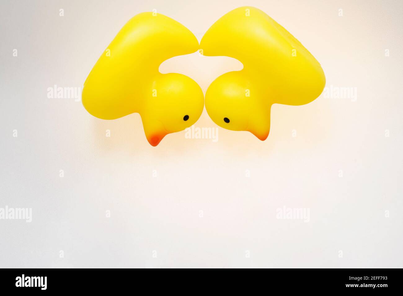 Two rubber ducks on a white background Stock Photo - Alamy