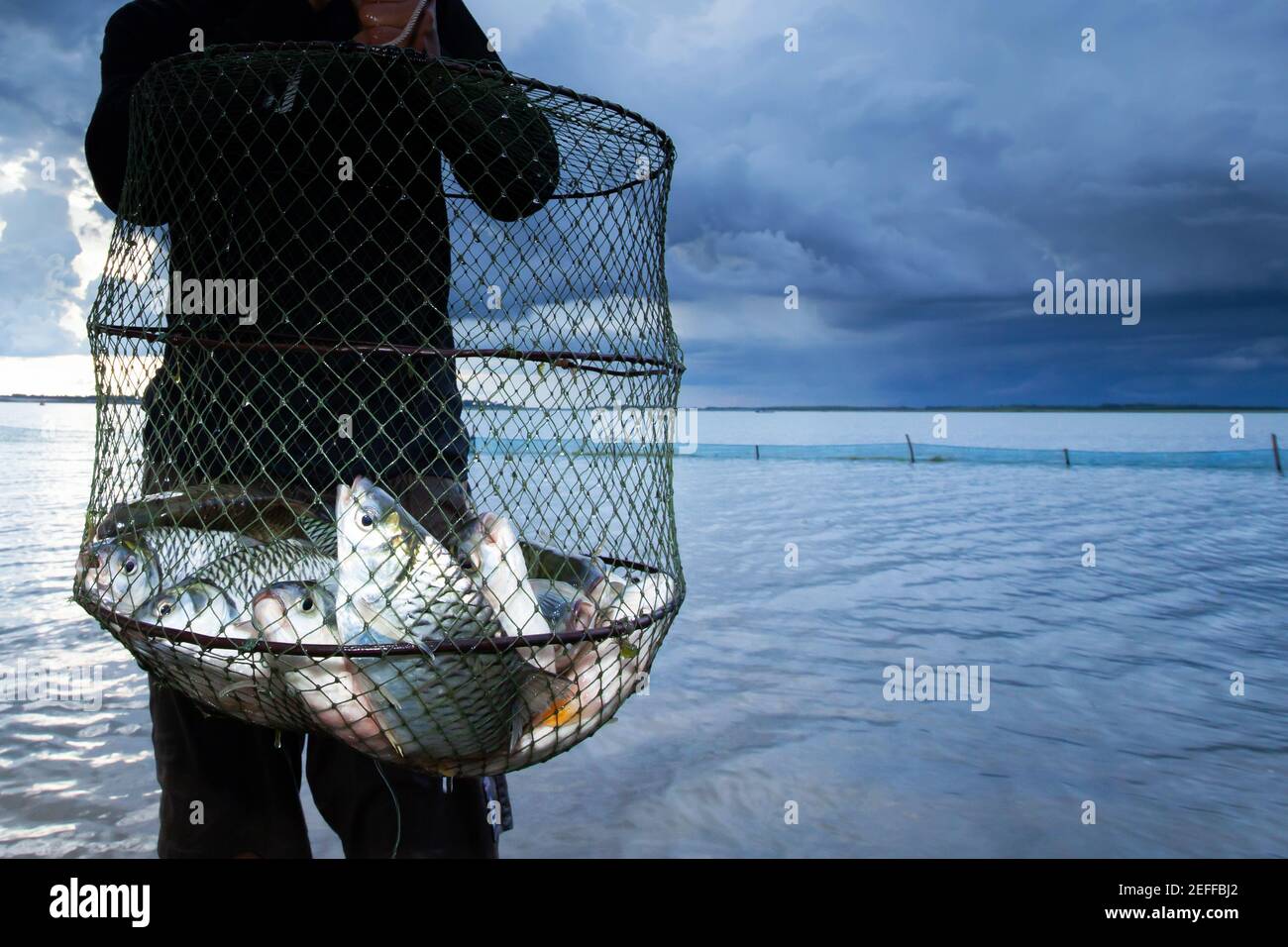 Asian fisherman stands in a lake while holding a shoal of big Common Silver barb in a fish net, storm over the lake background. Food culture concept. Stock Photo