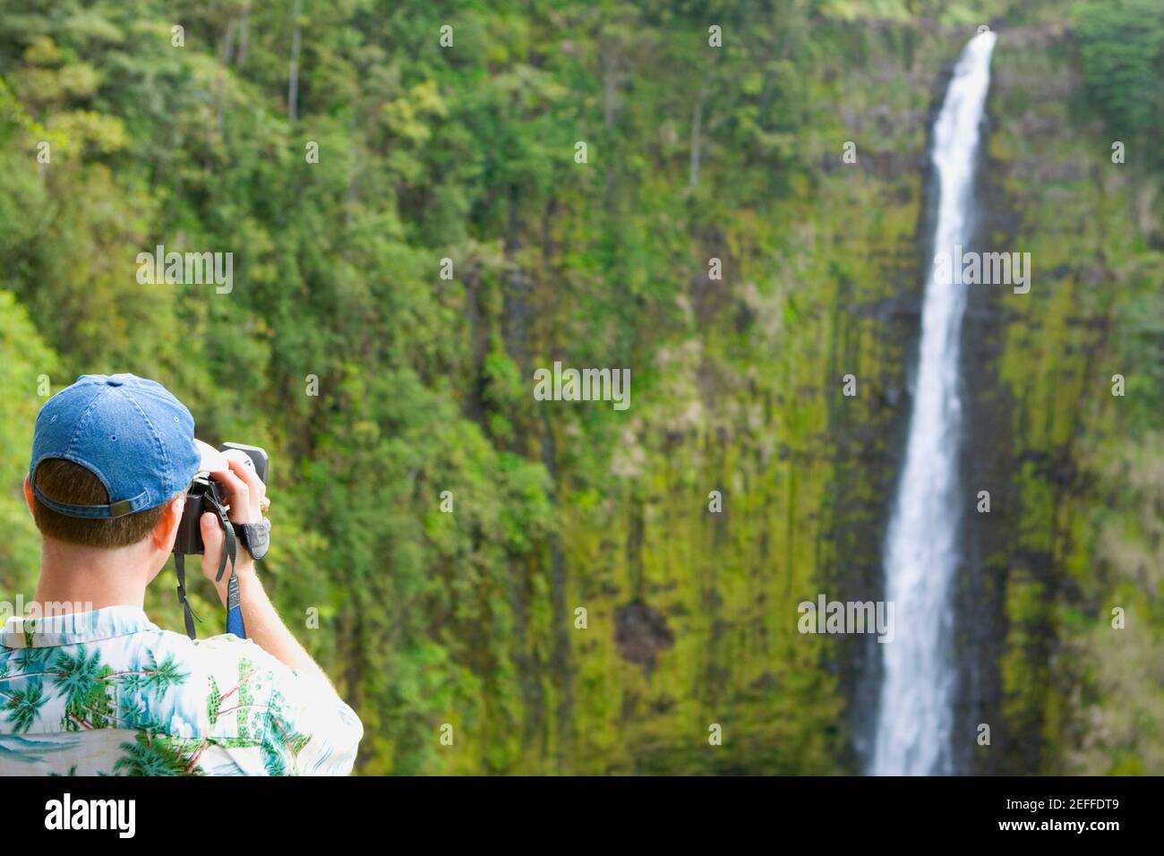 Rear view of a man taking a photograph of a waterfall, Akaka Falls, Akaka Falls State Park, Hilo, Big Island, Hawaii Islands, USA Stock Photo