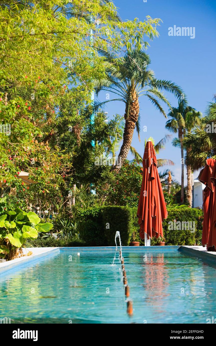 Fountain in a garden Stock Photo - Alamy