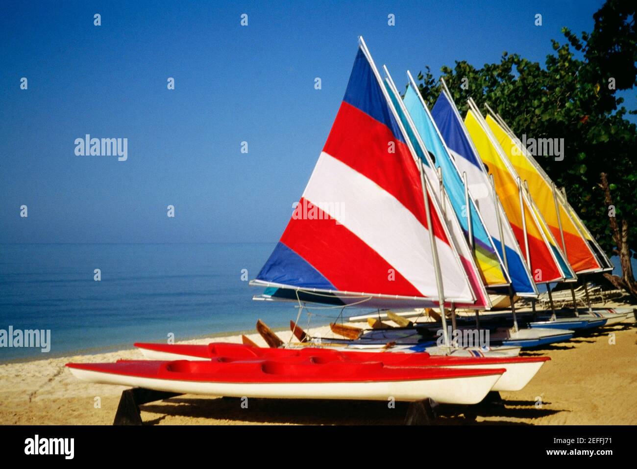 Brightly colored sails on windsurf boards at Hedonism Resort, Jamaica
