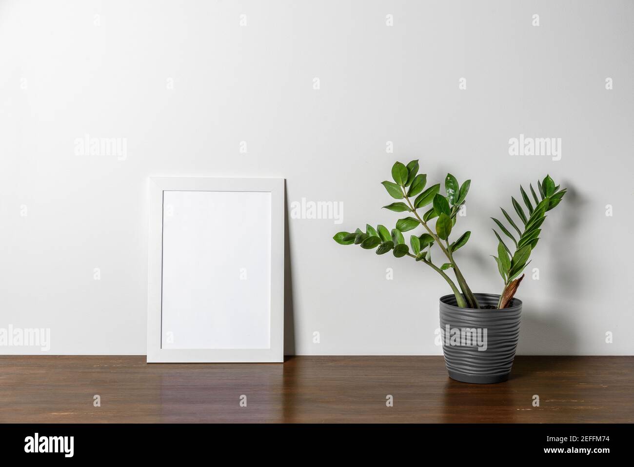 White wooden Photo or poster frame mock up on table with home plant ...
