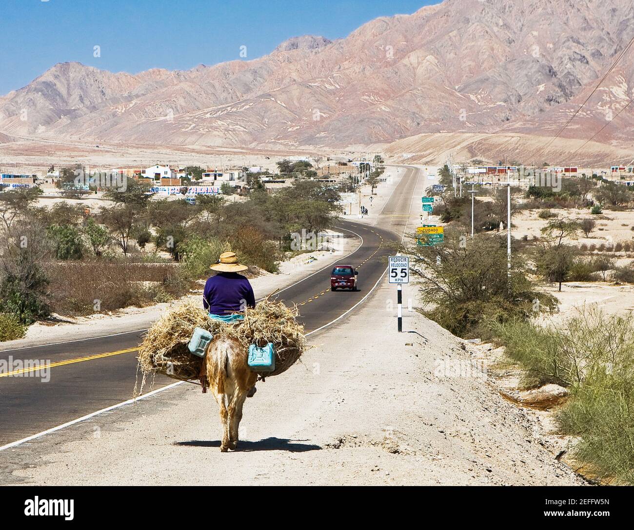 Rear view of a man riding a donkey loaded with hay Stock Photo