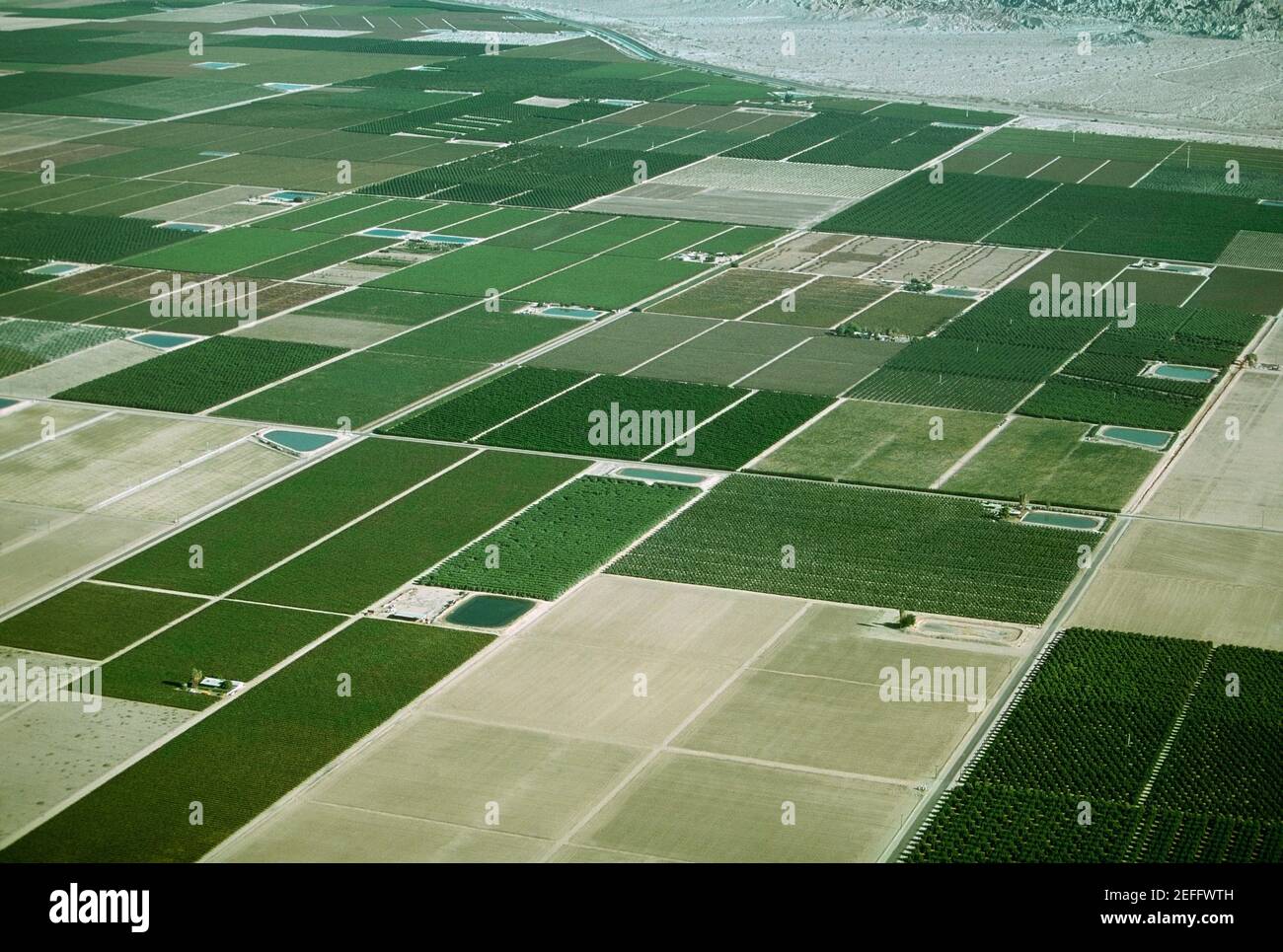 Desert agriculture, Imperial Valley, California Stock Photo