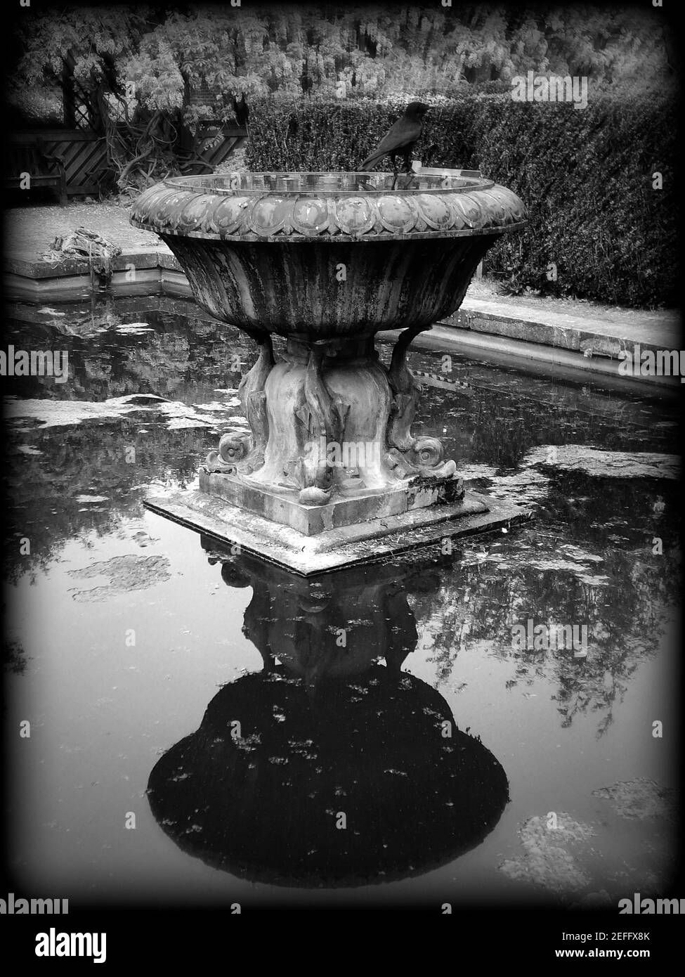 Old traditional English garden Stock Photo - Alamy