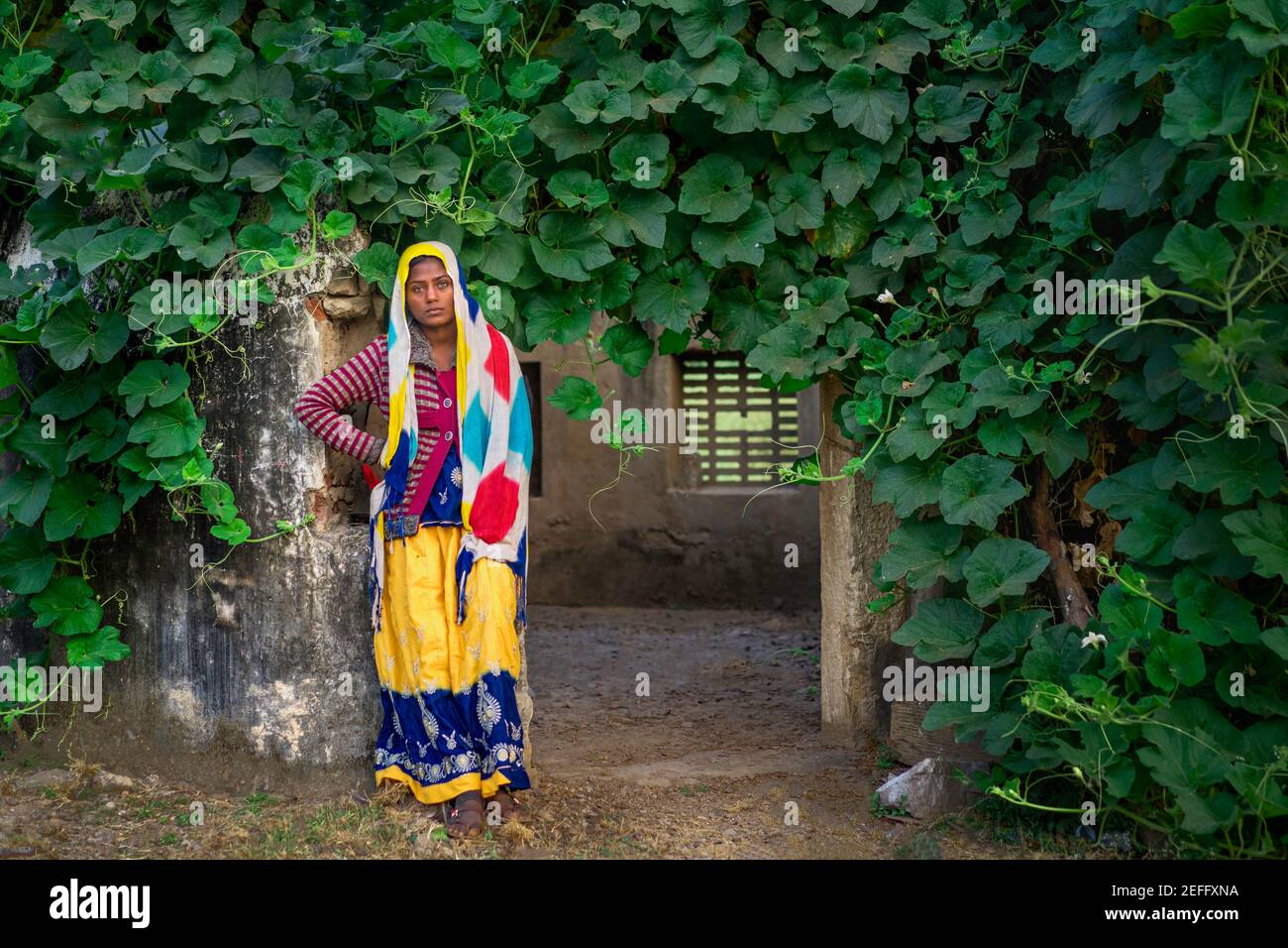 Beautiful young gypsy woman in traditional clothes set in derelict building and flora in desert area near Pushkar, Rajasthan, India. Stock Photo