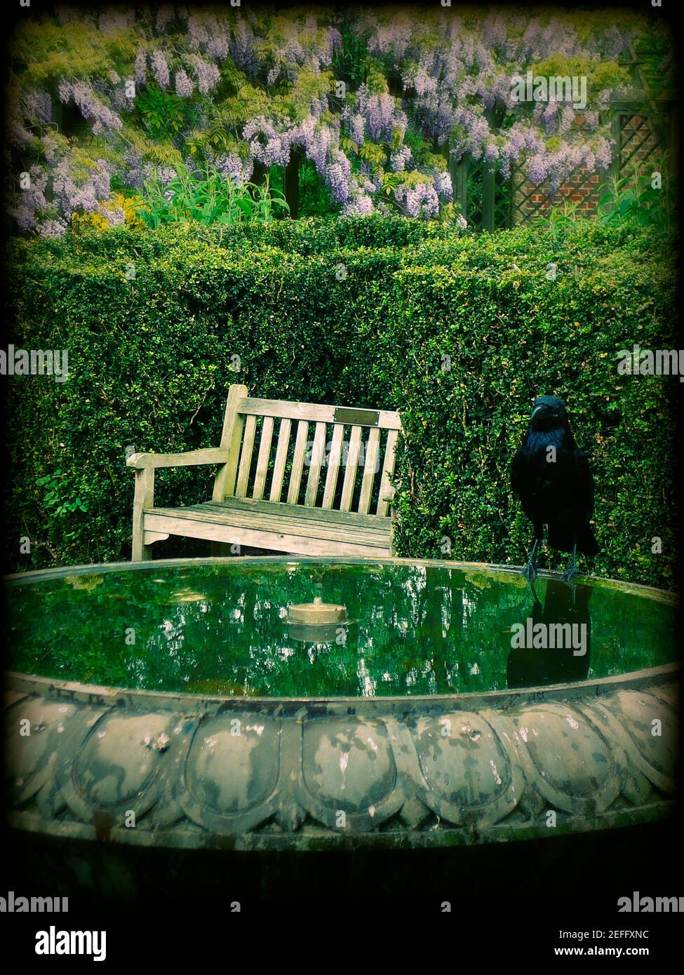 Old traditional English garden Stock Photo Alamy