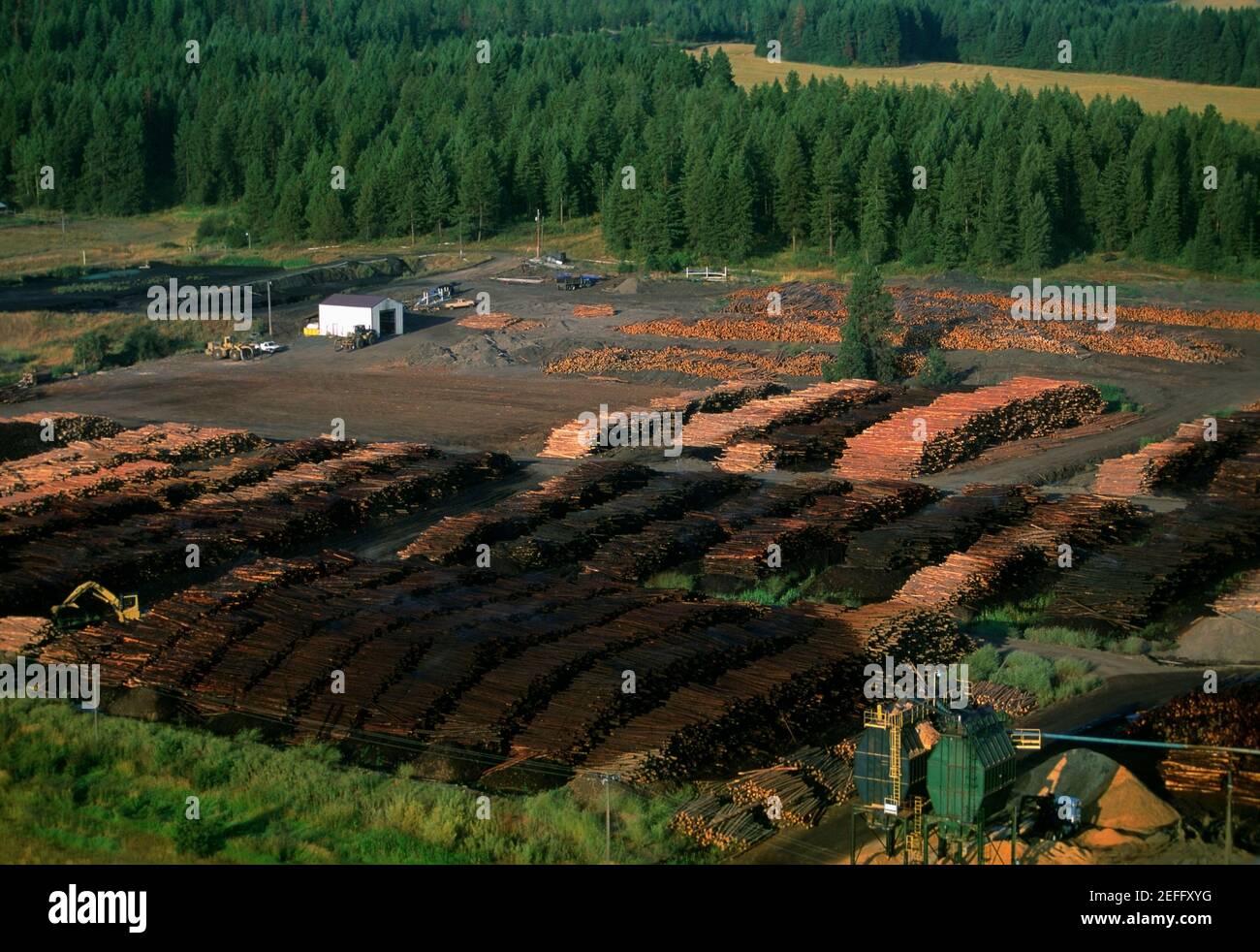 Large commercial sawmill, Idaho, USA Stock Photo Alamy