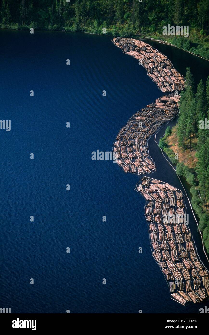 Log rafts flowing to a sawmill, Idaho Stock Photo - Alamy