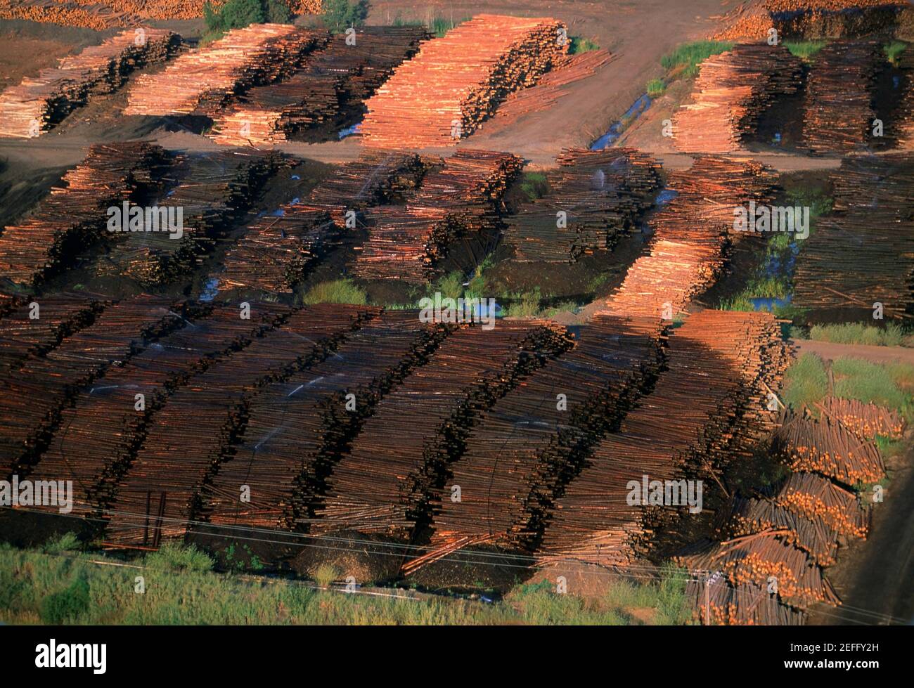 Large commercial sawmill, Idaho, USA Stock Photo Alamy