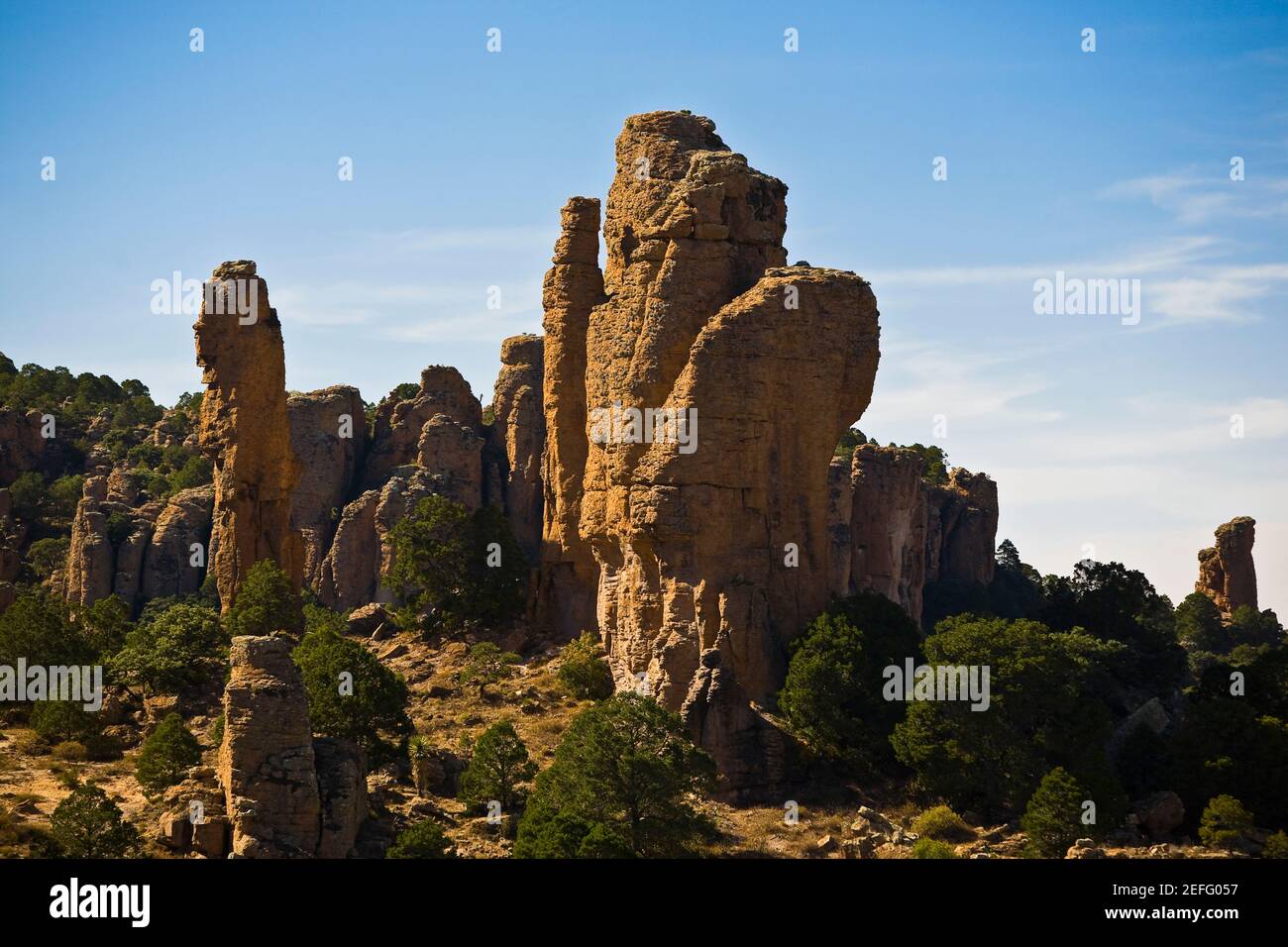 Rock formations in a forest, Sierra De Organos, Sombrerete, Zacatecas State, Mexico Stock Photo