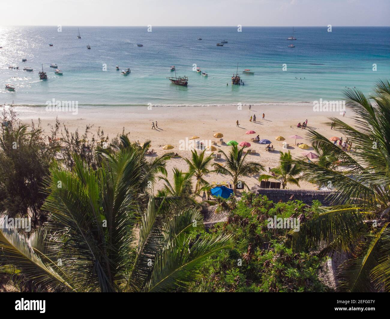 Palm tree behind swimming pool hi-res stock photography and images - Alamy